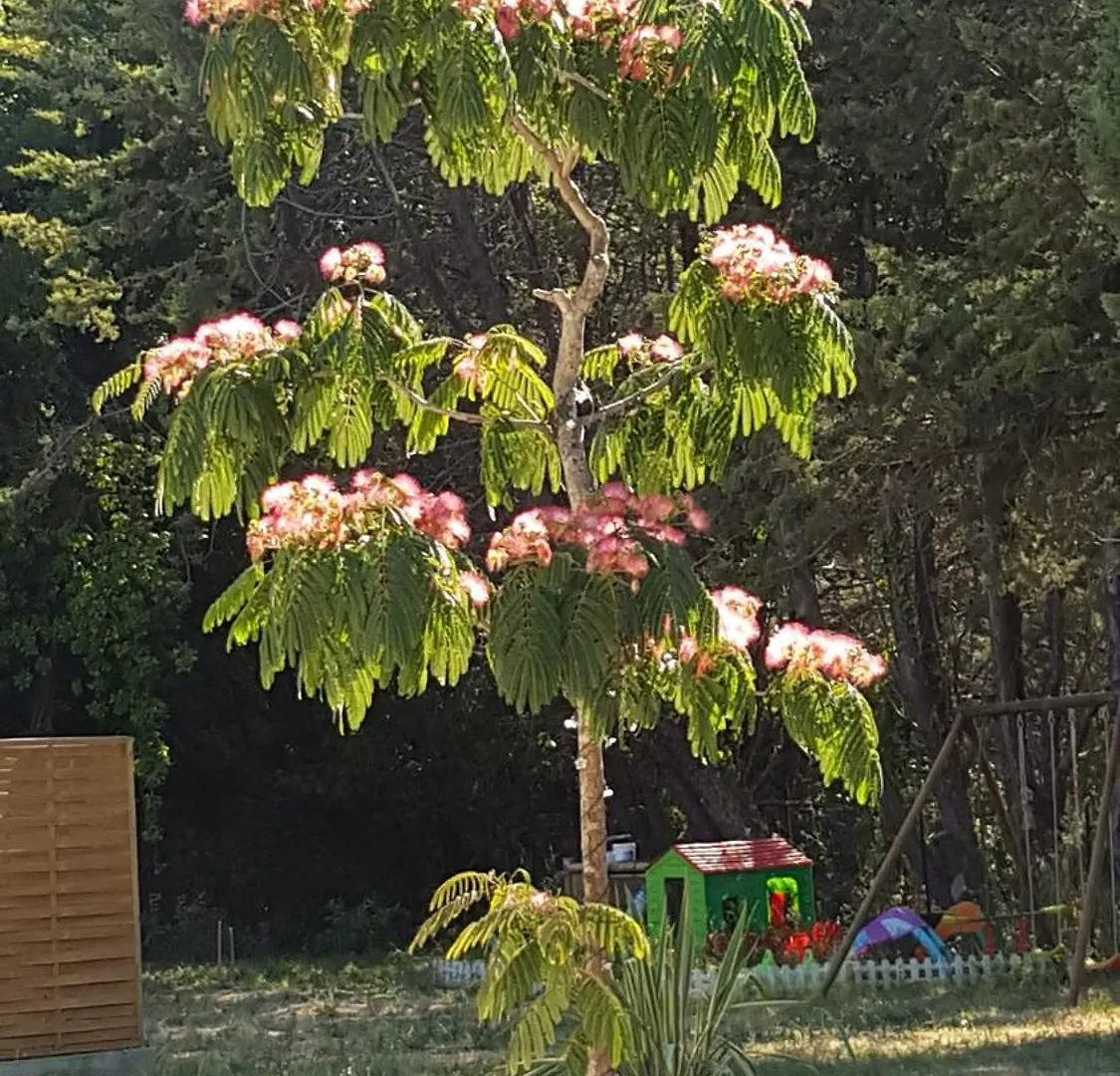 Au Charme De Pepiole Bed and Breakfast Six-Fours-les-Plages Frankrijk